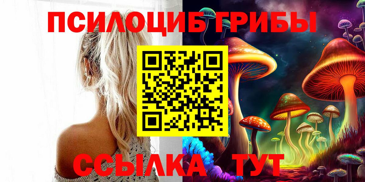 Галлюциногенные грибы Cubensis Карабулак