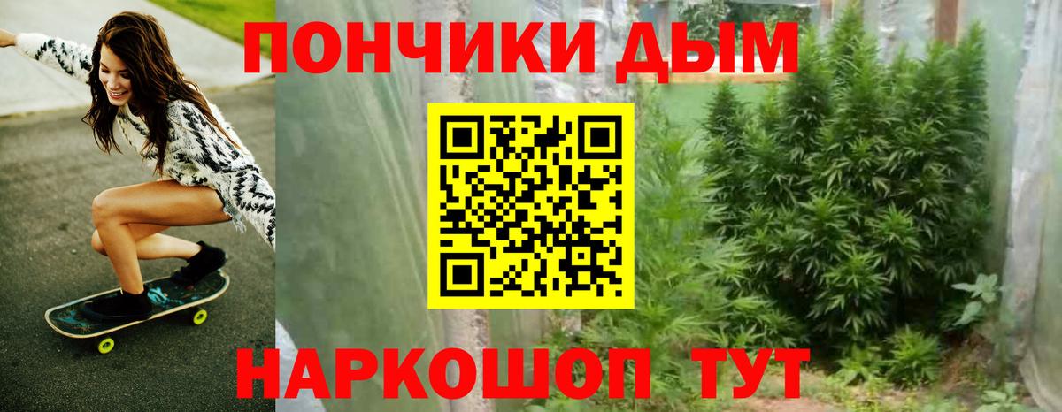Каннабис SATIVA & INDICA  Вход с VPN  МАРИХУАНА White Widow  Карабулак  Бошки марихуана семена  Каннабис план 